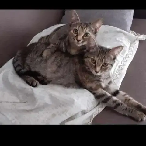 Thelma Et Teresa photo 3