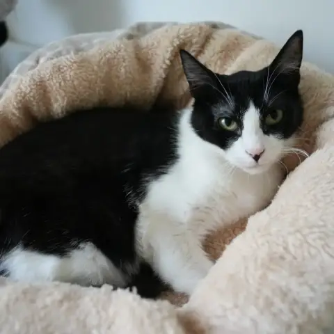 Bulle photo 2