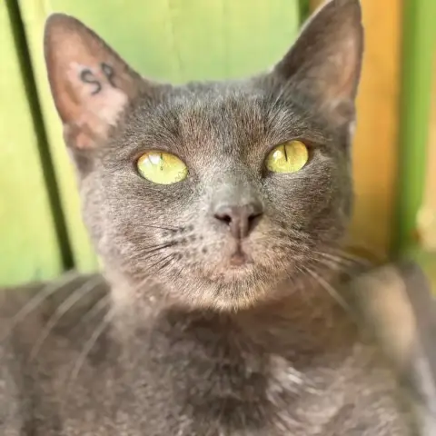 Vicky