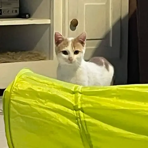 Caramel