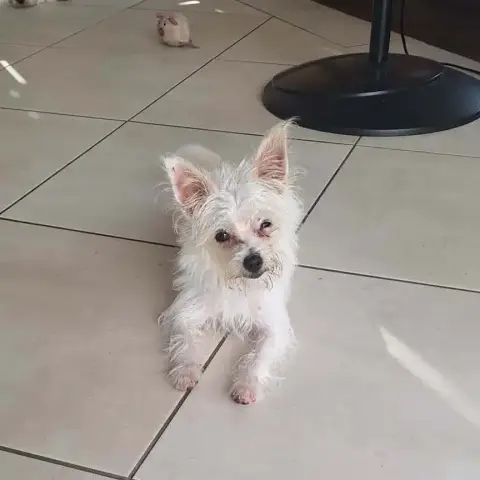 Molly