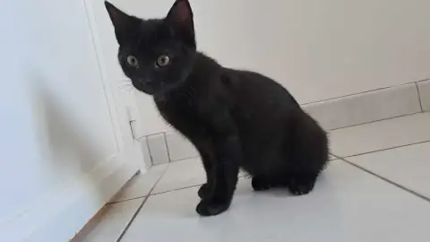 Una