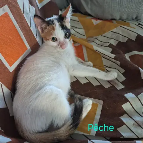 Pêche photo 2