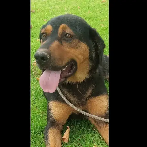 Ugo