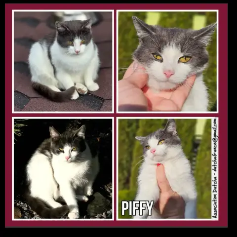 Piffy