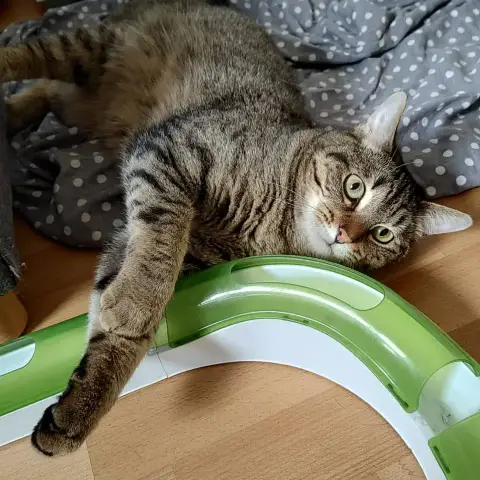 Cléo photo 2