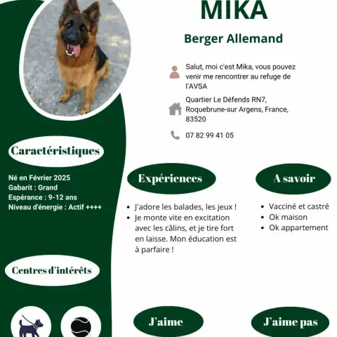 Mika photo 2