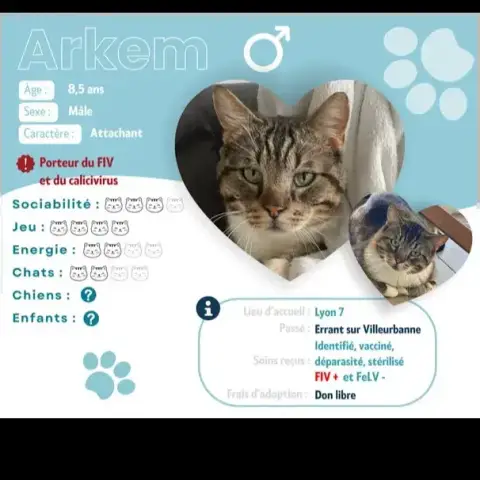 Arkem