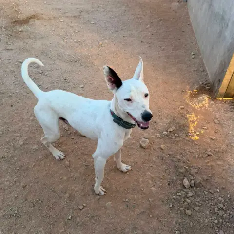 Tayson photo 3