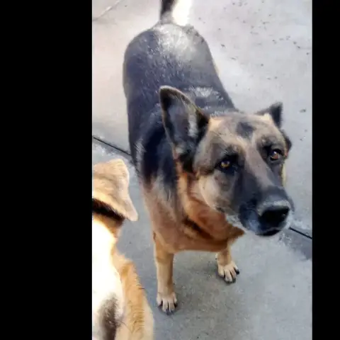 Lucy photo 3