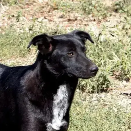 Bonnie photo 2
