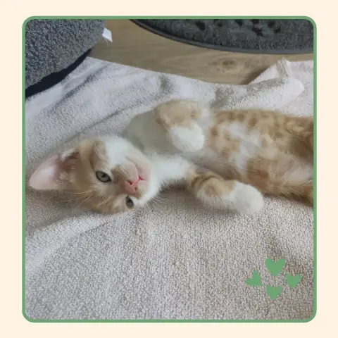 Floki photo 2