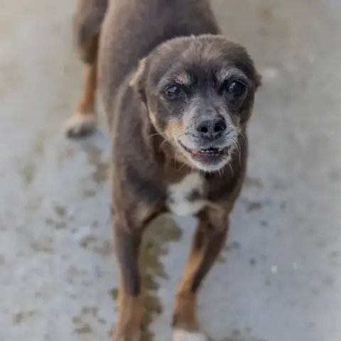 Roxie photo 3