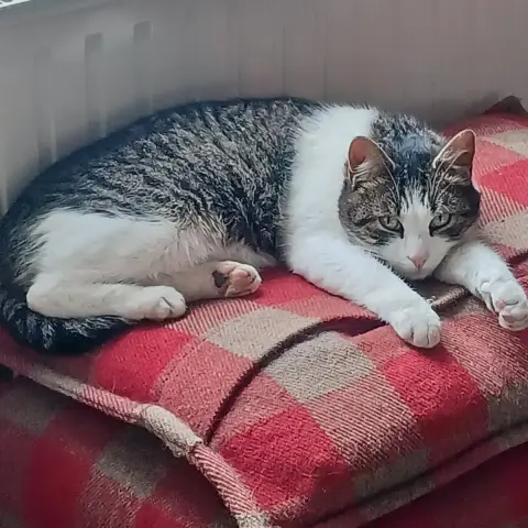 Vasko