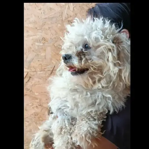 Sacha photo 3