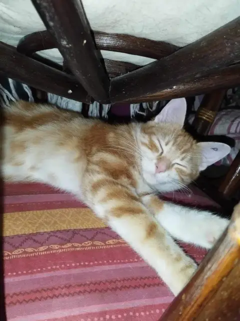 Caramel
