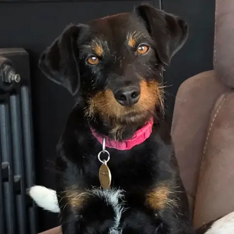 Jade En Famille D'Accueil