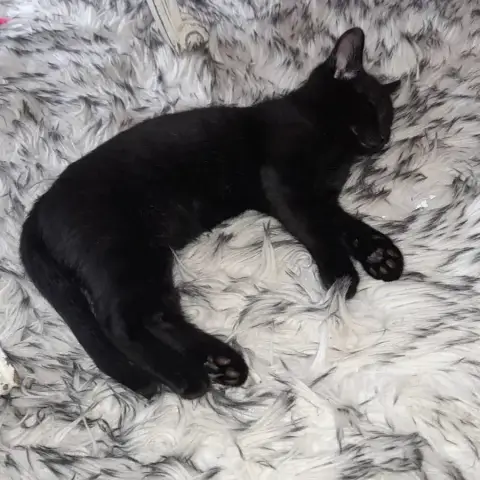 Bonnie photo 2