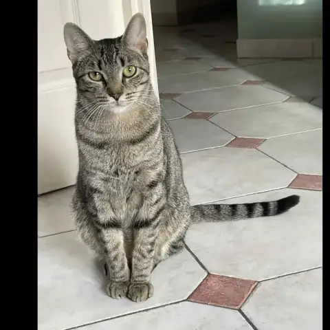 Marco