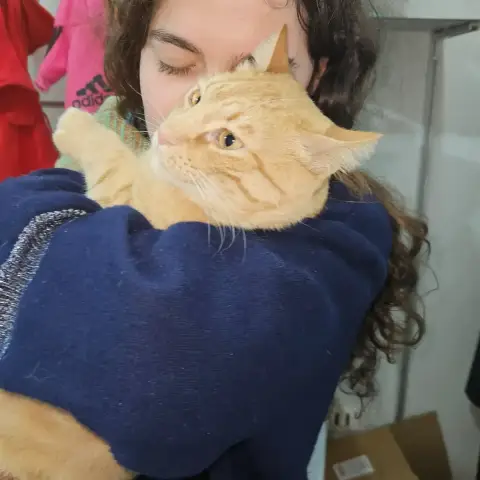 Citrouille