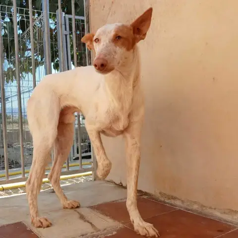 Billy