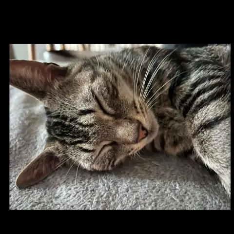 Maggy Ou Miss Bisous photo 2