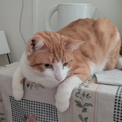 Titou photo 2