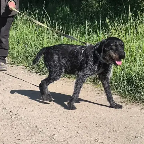 Nina