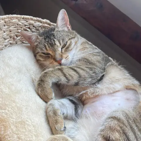 Grace photo 3