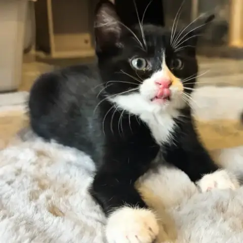 Eros