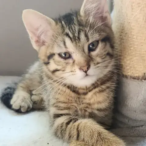 Jim