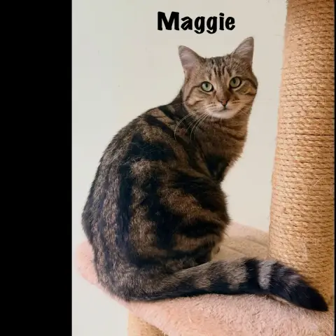 Maggie photo 3