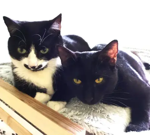 Stella & Talia