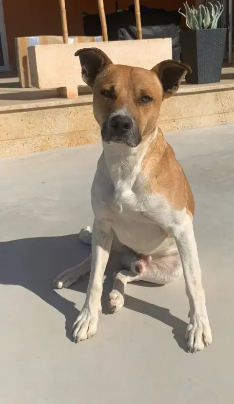Ricky