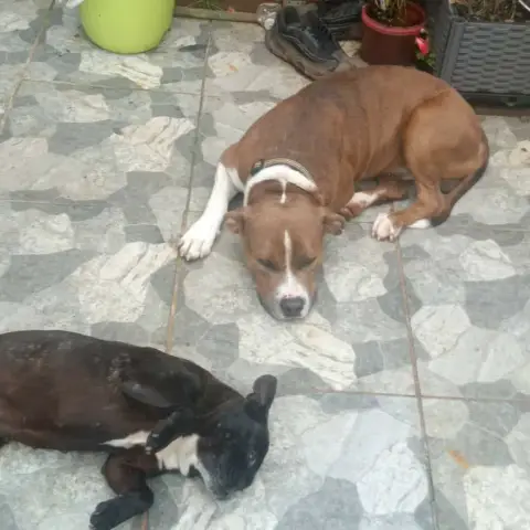 Timos photo 2
