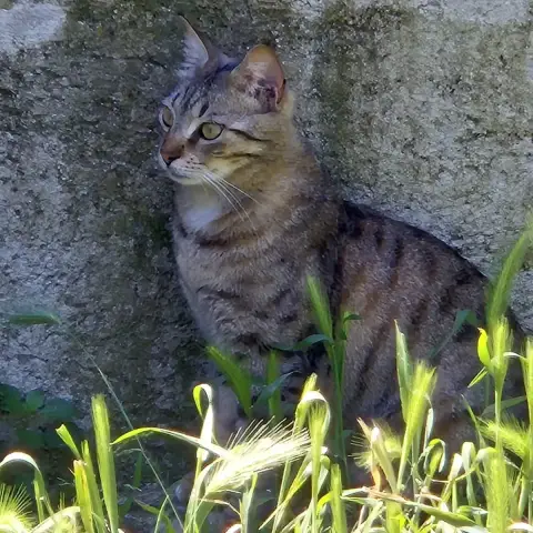 Jules photo 2