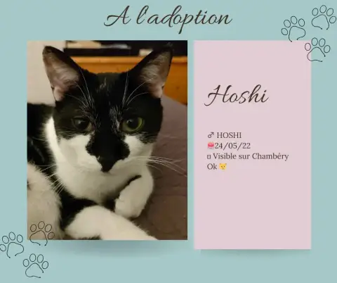 Hoshi