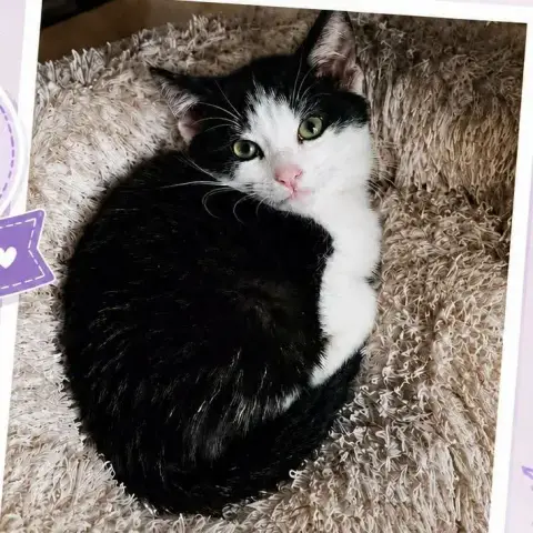 Bella