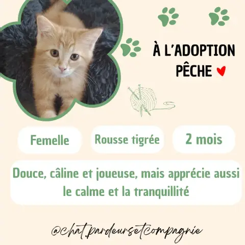 Pêche
