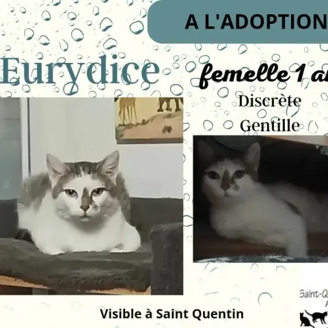 Eurydice