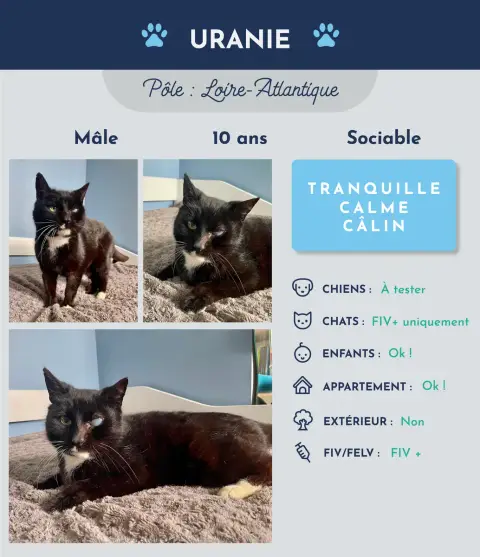 Uranie