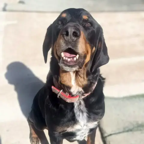 Marley