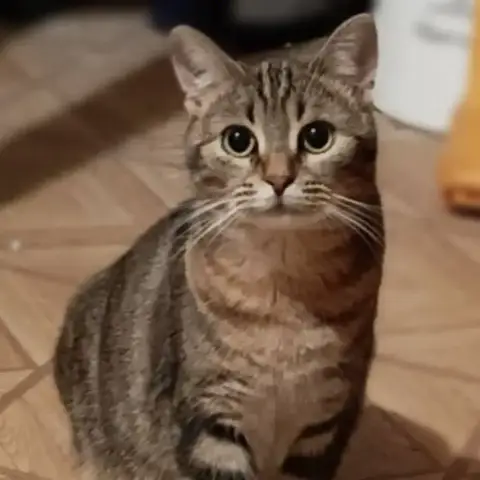 Rosie