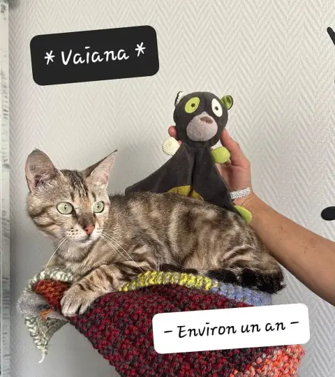 Vaiana