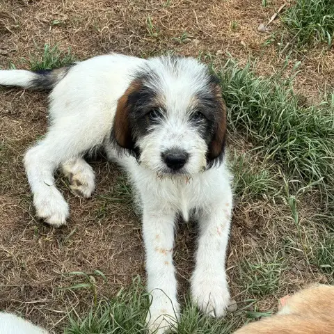 Oscar photo 2