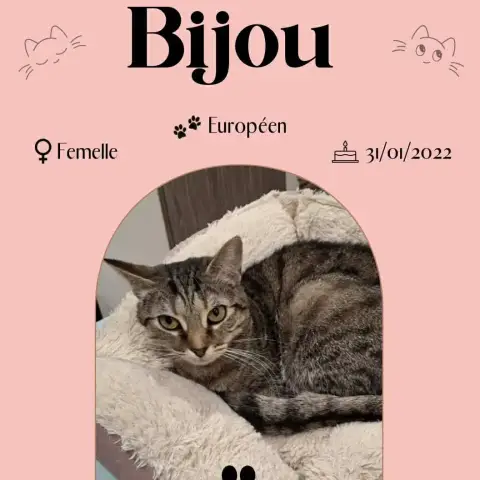 Bijou