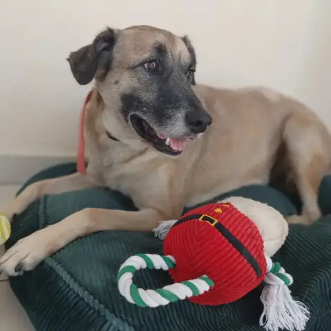Milo