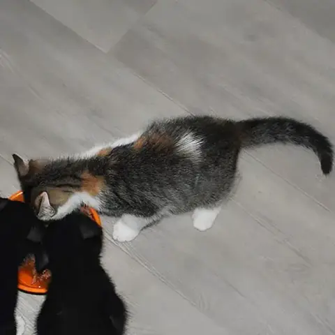 Bianca photo 2