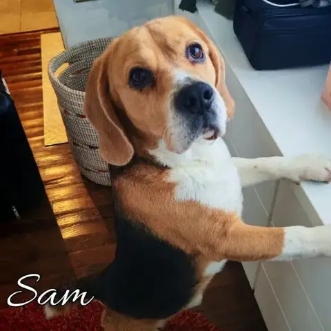 Sam