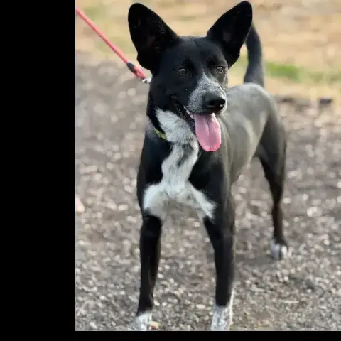 Zeus photo 3